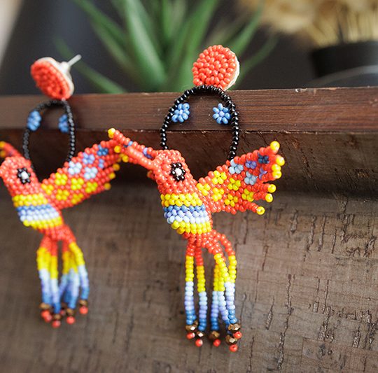 Hummingbird of the Yucatán