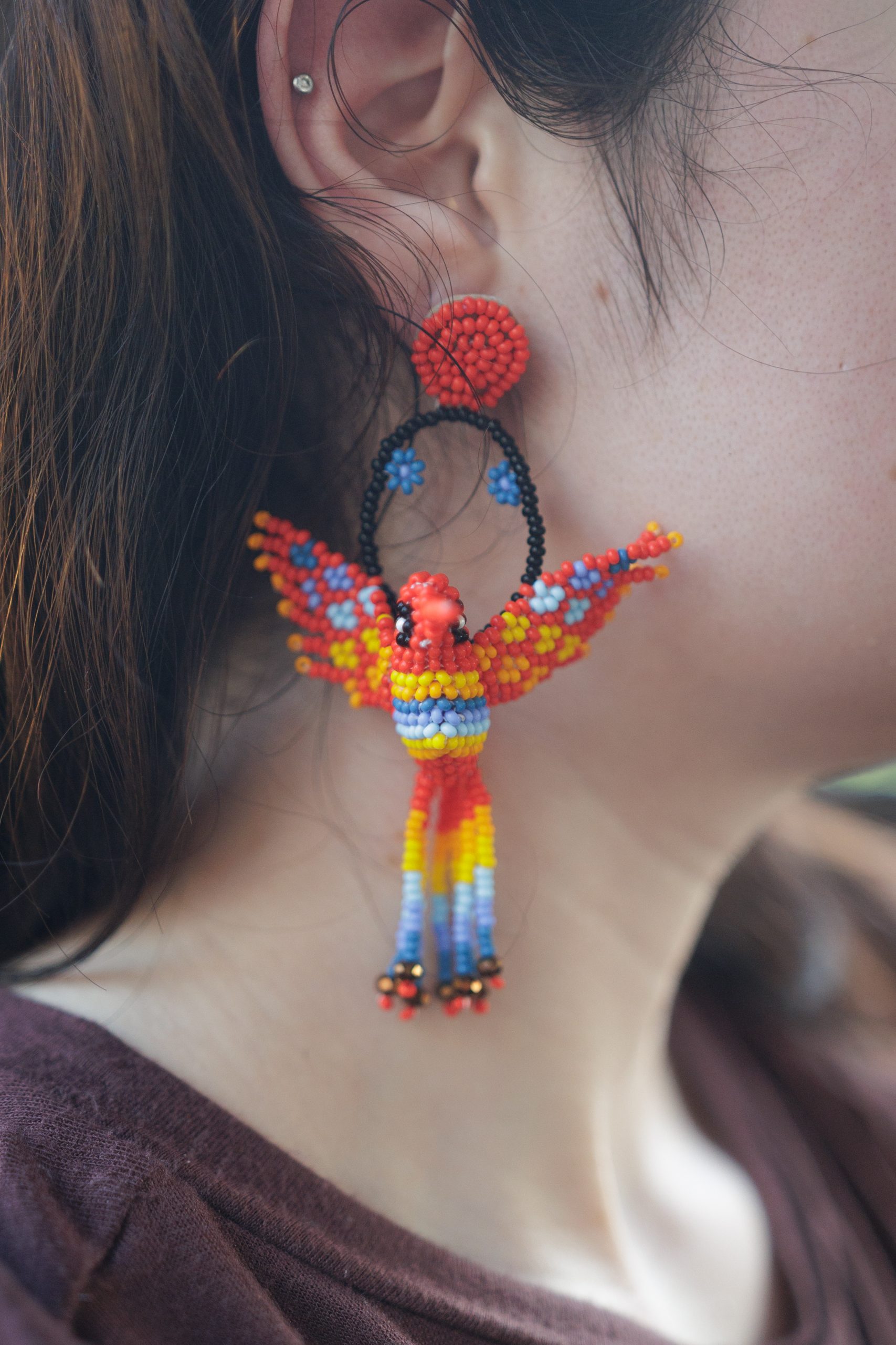 Hummingbird of the Yucatán - Image 3